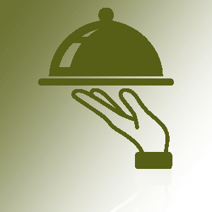 aviation and pilot expertise